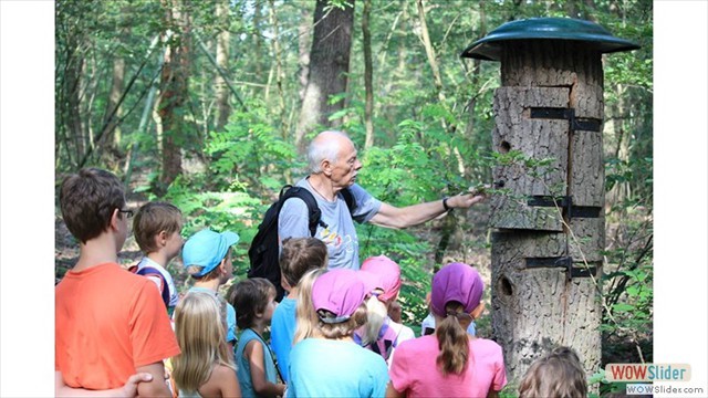 waldkinder2014_lh_005