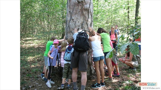 waldkinder2014_wm_06