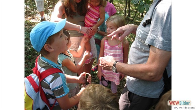 waldkinder2014_wm_07