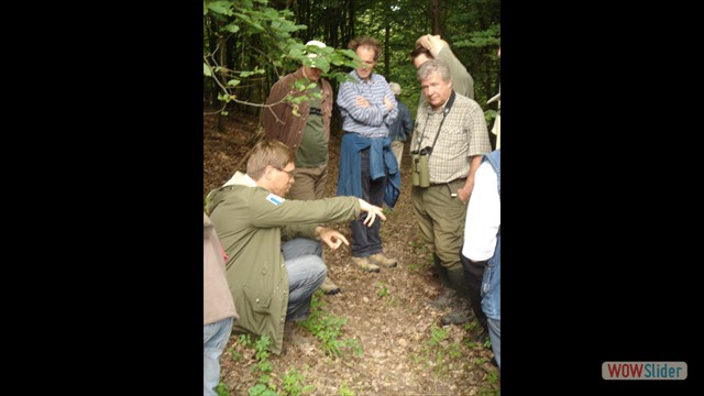 vogelstimmen_080621_32