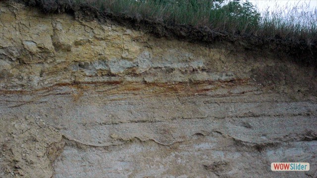 vogelstimm_09_06_06_03