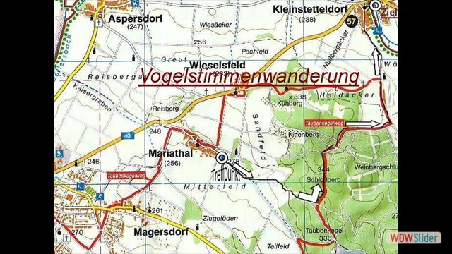 vogelstimmen_09