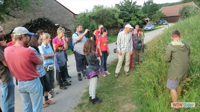 vogelstimmen2013_001