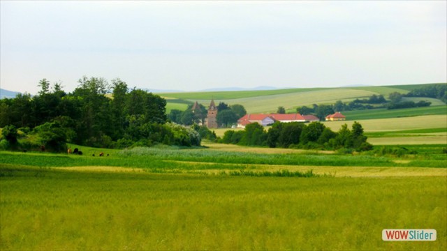 vogelstimmen2013_006