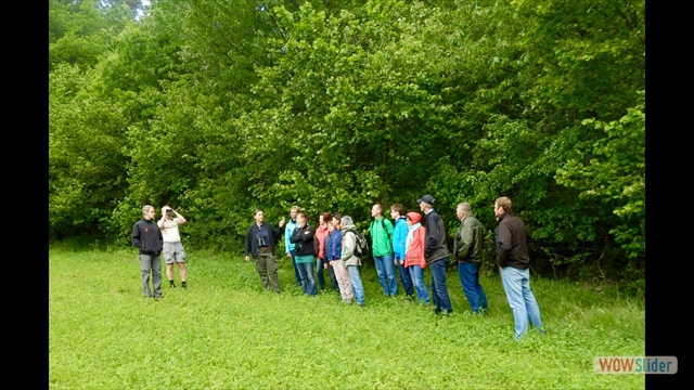 vogel1