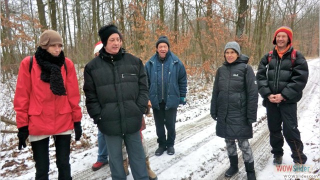 wald_im_winter_20140202_03