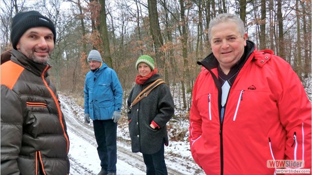 wald_im_winter_20140202_04