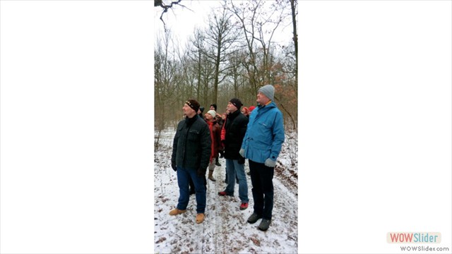 wald_im_winter_20140202_06