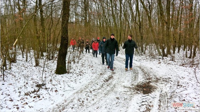 wald_im_winter_20140202_07