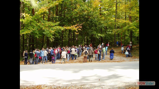 walderw_07_10_07_26
