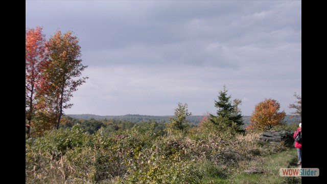walderw_07_10_07_31