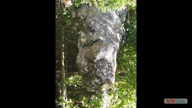walderwand_091004_01