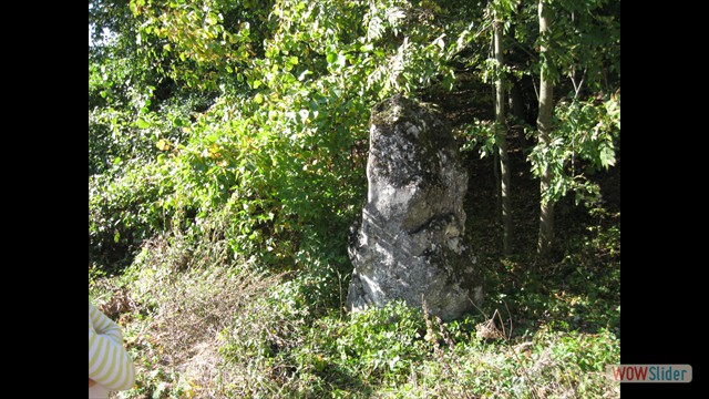 walderwand_091004_02
