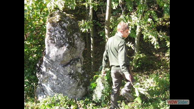 walderwand_091004_03