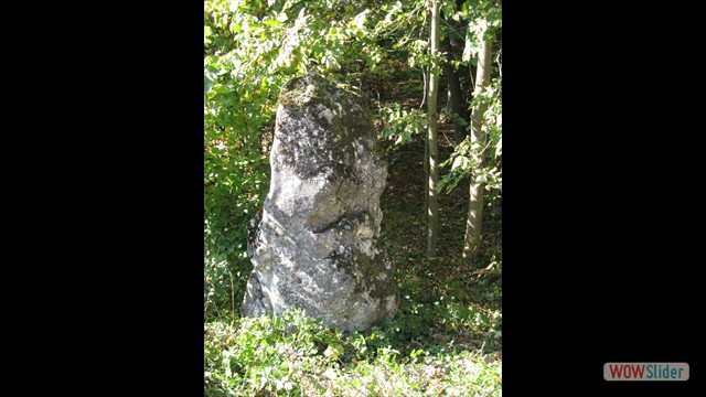 walderwand_091004_04