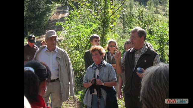 walderwand_091004_07