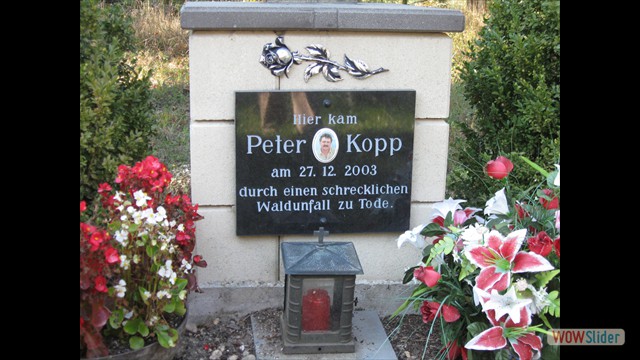 walderwand_091004_09