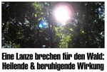 Bezirksnachrichten Wein- und Waldviertel Nr. 38/2011